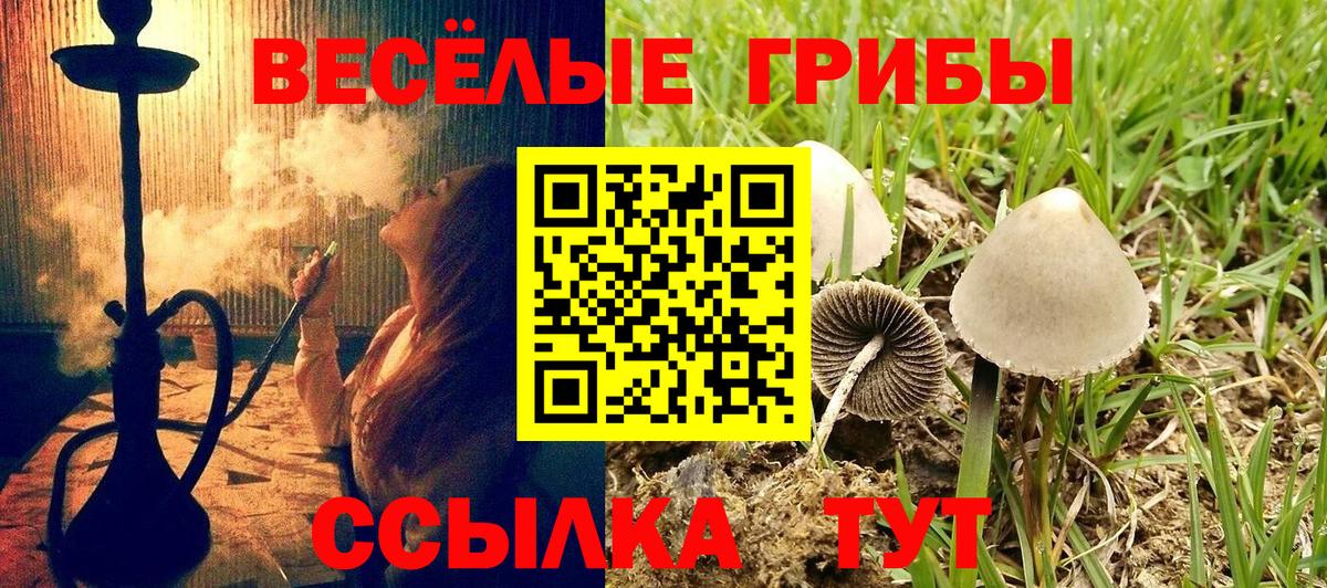 Псилоцибиновые грибы MAGIC MUSHROOMS  Вход с VPN  Пыть-Ях 